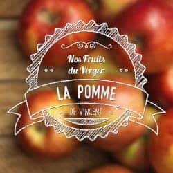 POMME VDLV - Eliquide français arôme naturel sans additif