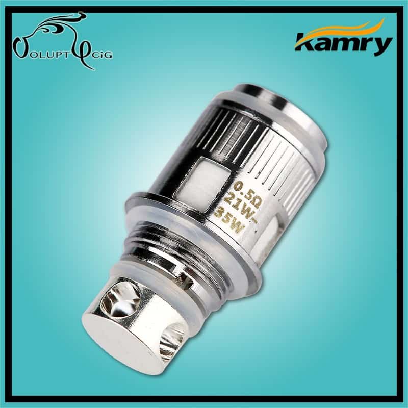Résistances KAMRY K1000 0.5 ohm par Kamry Résistances KAMRY K1000 0.5 ohm par Kamry