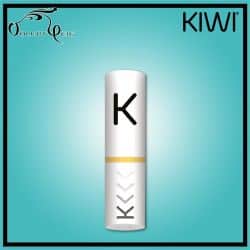 Filtres Kiwi Vapor (x20) - Cigarette électronique Pod