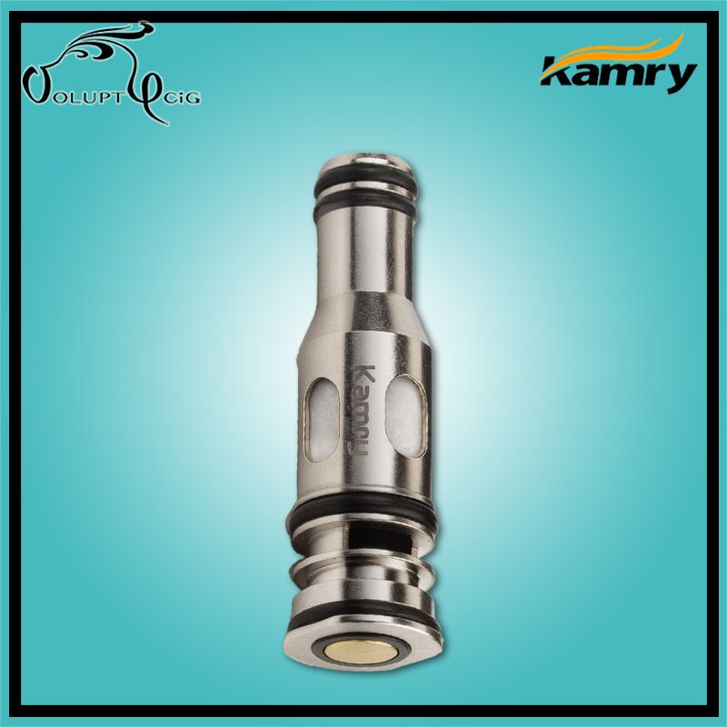Résistances P6 0.5 ohm Kamry