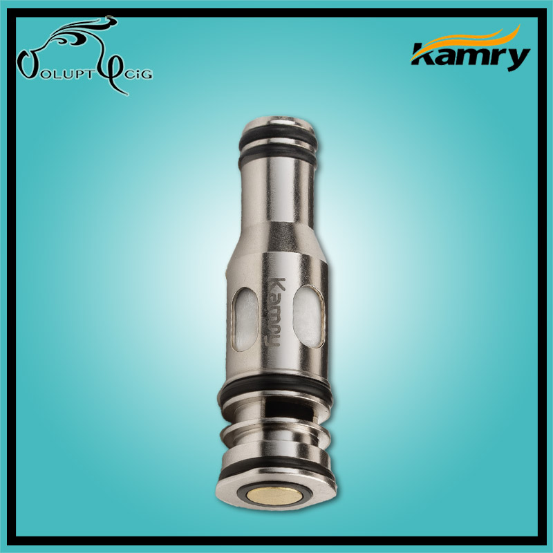 Résistances P6 0.5 ohm Kamry