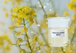 Monopropylène glycol végétal dans les e-liquides : une option plus saine